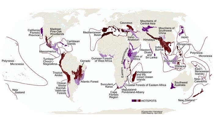 Biodiversity hotspots around the world