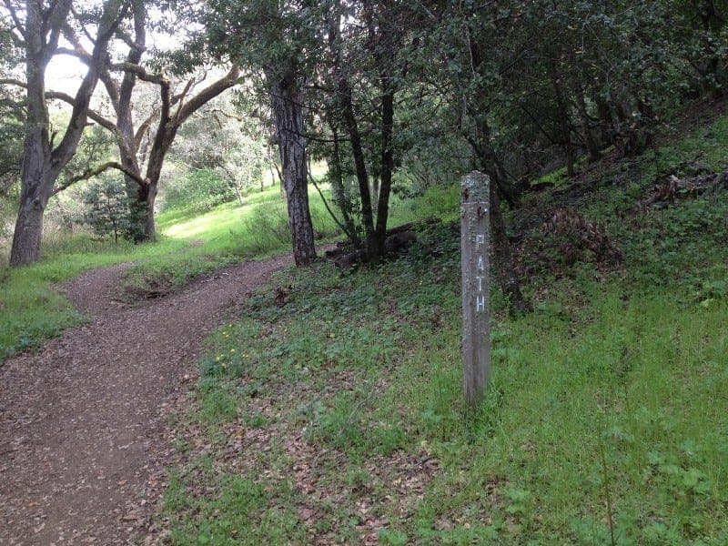 A dirt pathway winding beneath oaks, marked by a stone post stenciled PATH